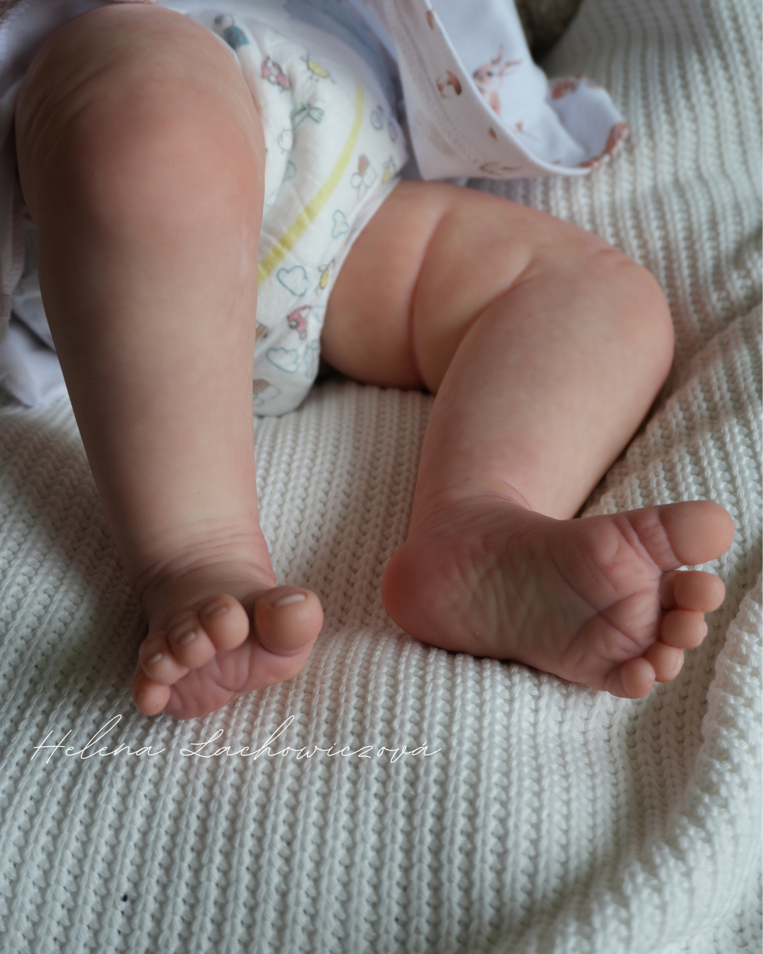 6 měsíční reborn miminko Easton - Michelle Fagan