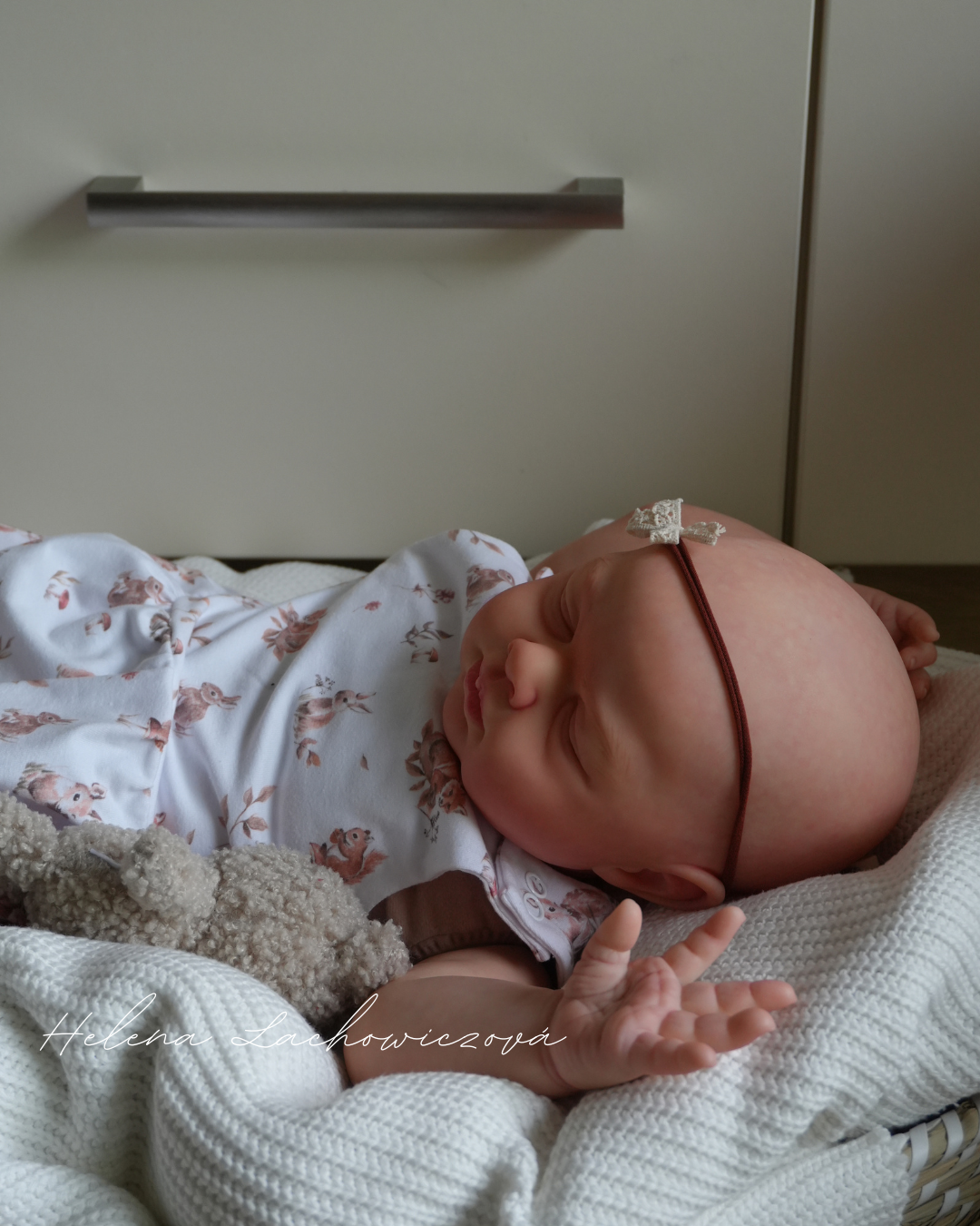 6 měsíční reborn miminko Easton - Michelle Fagan