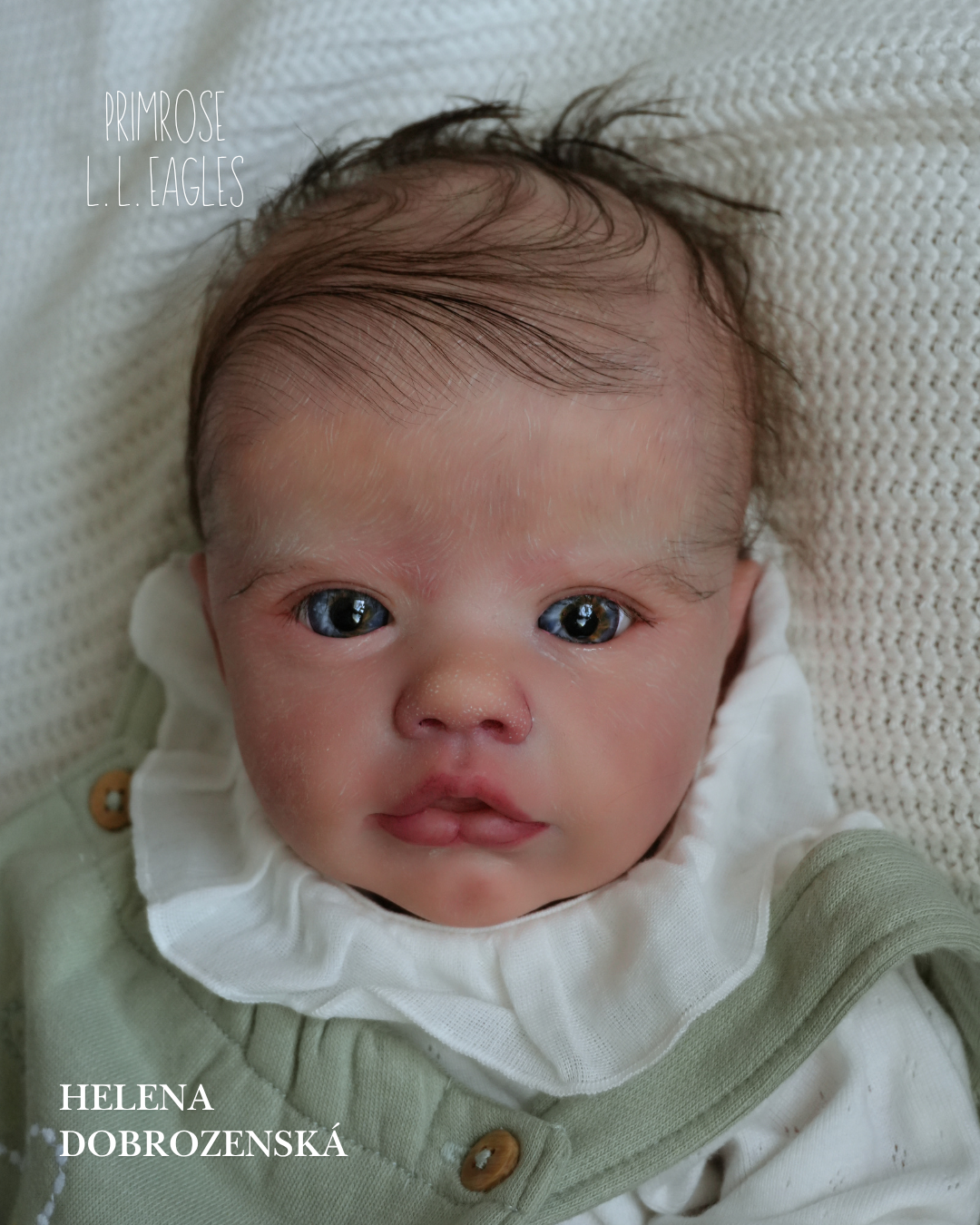 Nádherná reborn panenka Primrose s očima jako poměnky