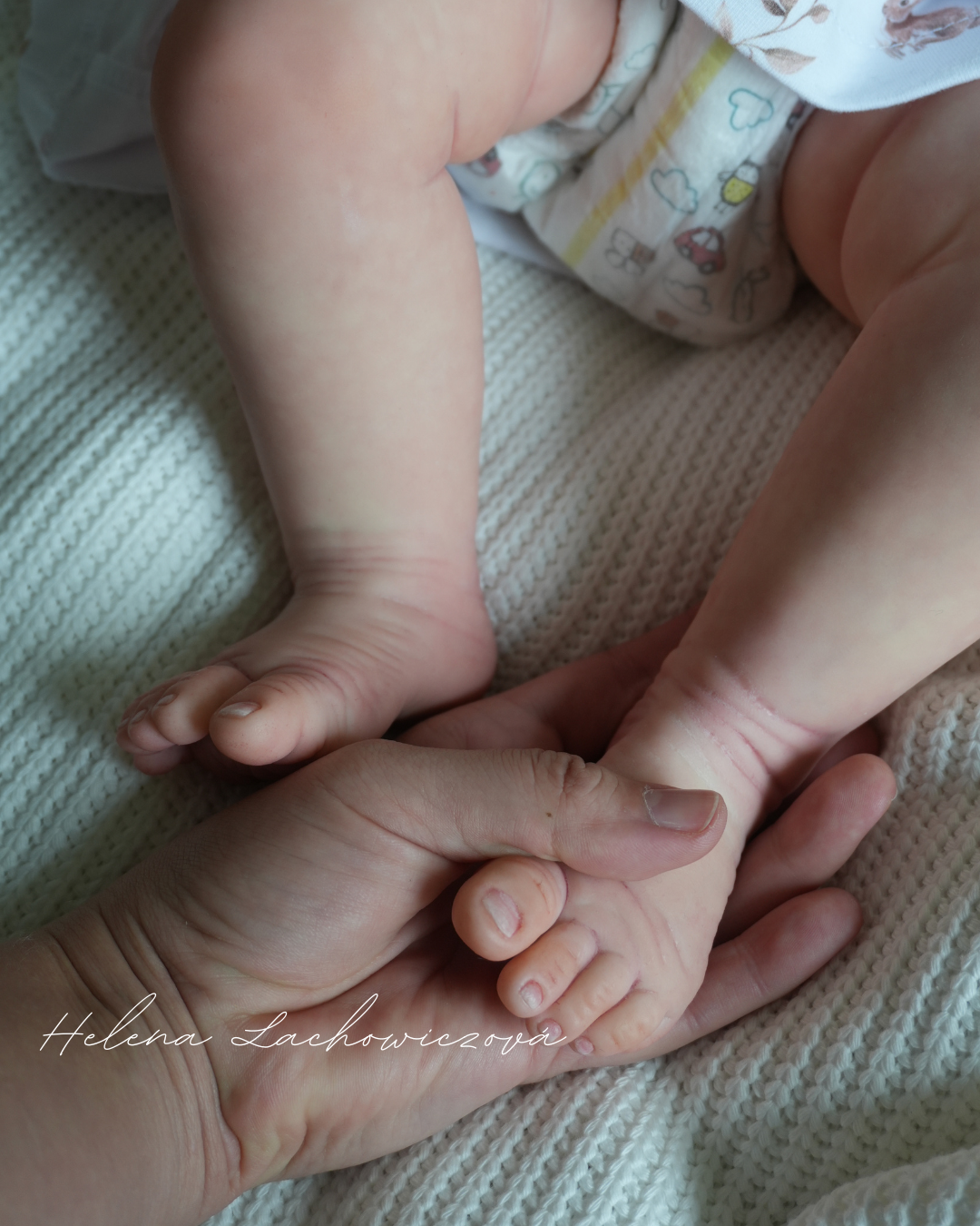 6 měsíční reborn miminko Easton - Michelle Fagan