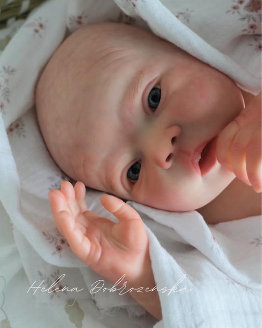 Úžasná Mayven reborn miminko - Viviane Aleluia 50 cm