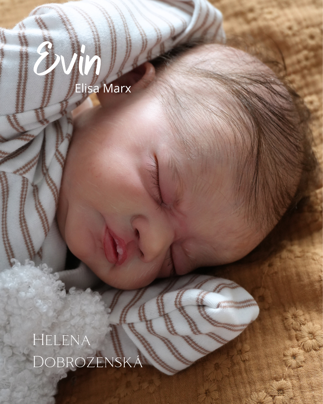 Reborn panenka / miminko Evin - na objednávku