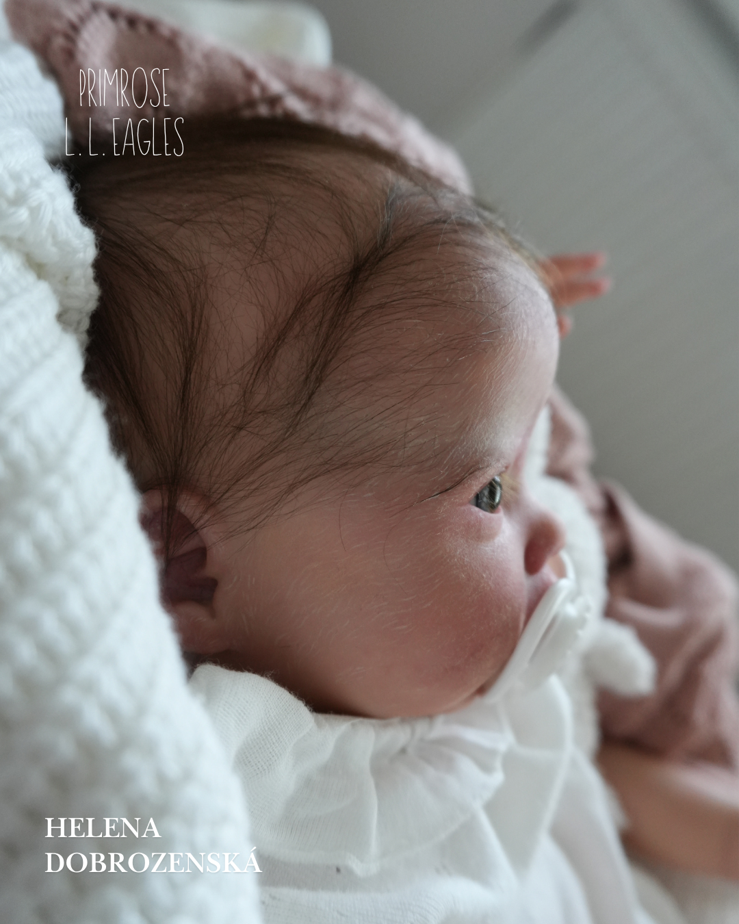 Nádherná reborn panenka Primrose s očima jako poměnky