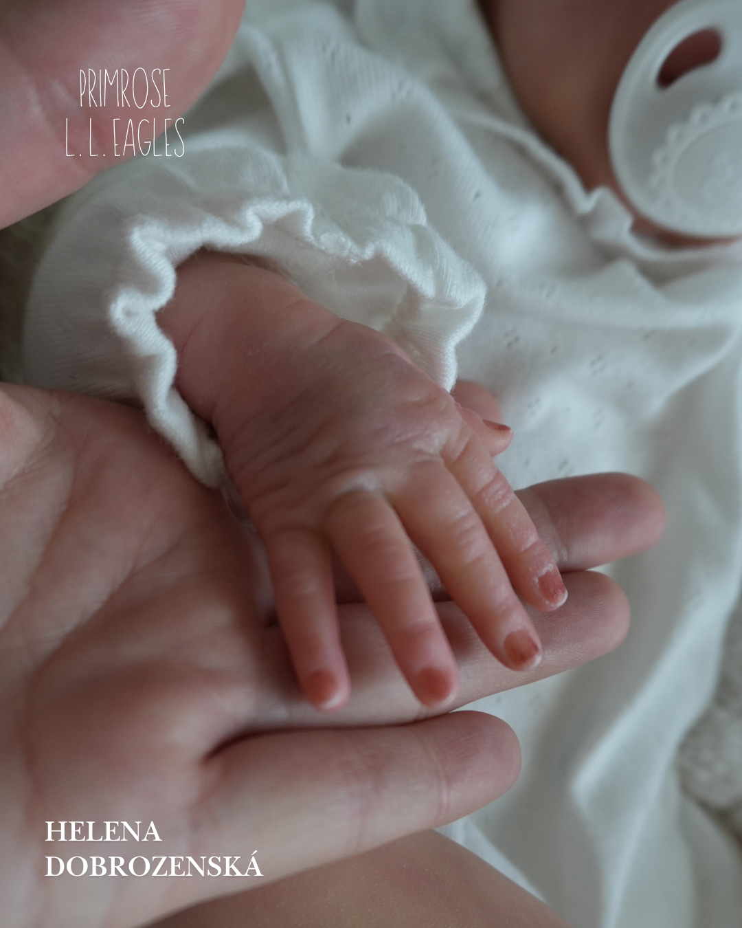 Nádherná reborn panenka Primrose s očima jako poměnky