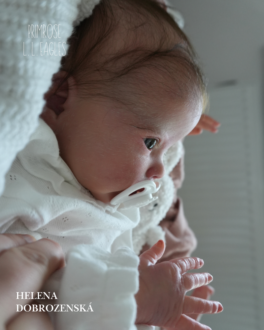 Nádherná reborn panenka Primrose s očima jako poměnky