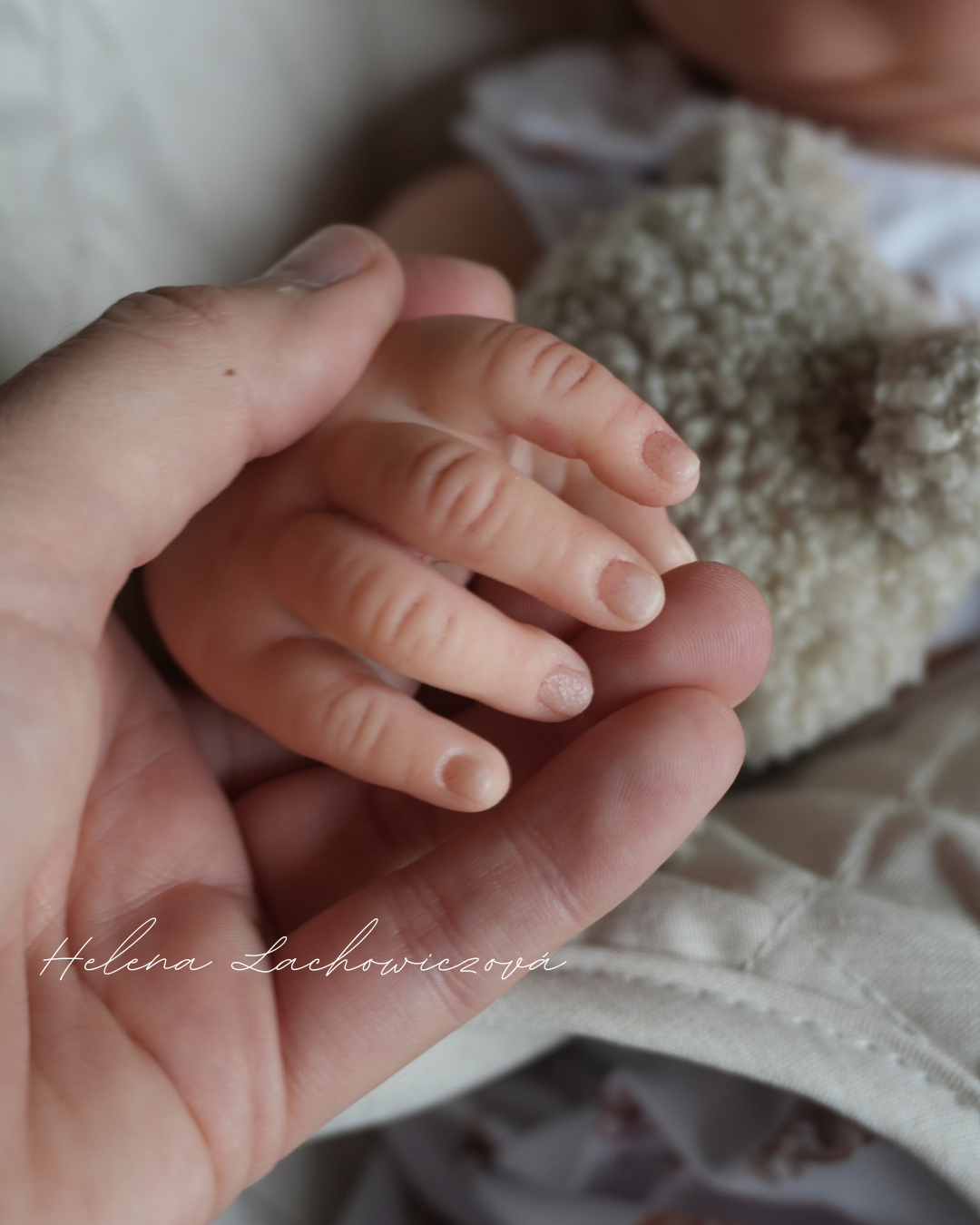 6 měsíční reborn miminko Easton - Michelle Fagan
