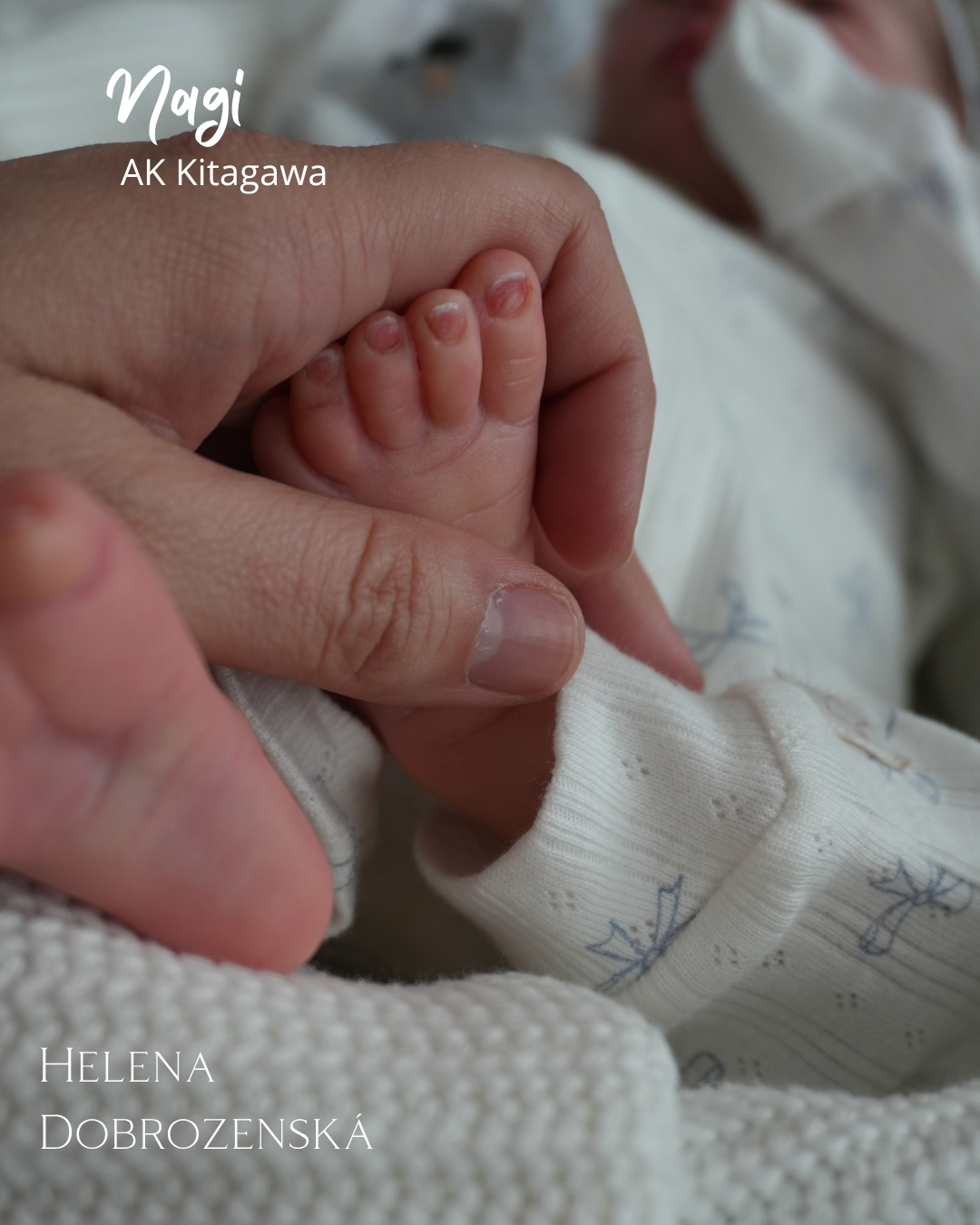 Reborn panenka na zakázku z kitu Nagi (chlapec nebo holčička)