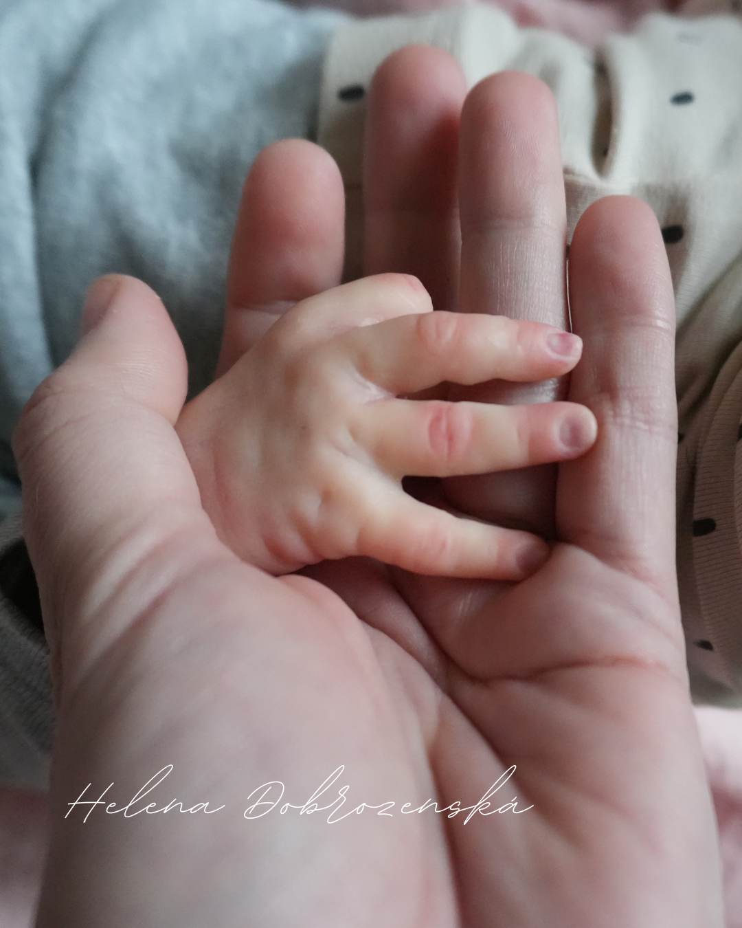 Reborn miminko před dokončením Evin - Elisa Marx 50 cm, cca 2000 g