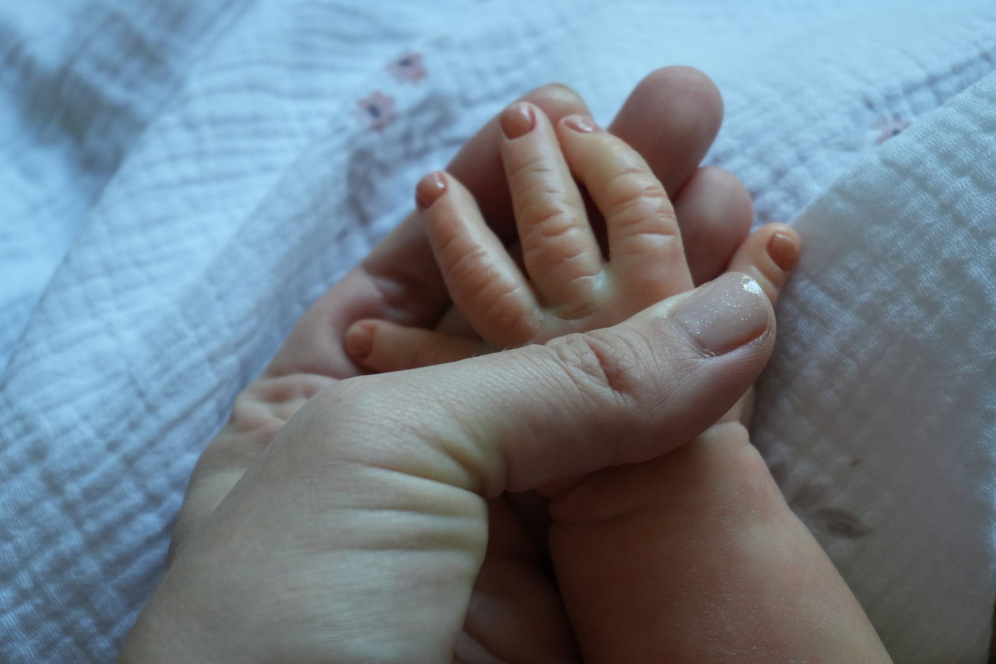 Reborn miminko z kitu Rosa - Adrie Stoete